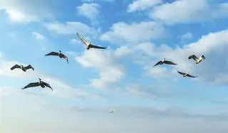 这也行？风云突变新奥尔良鹈鹕加时末段远射贴柱窗口期芝加哥公牛调整名单以备国王杯，尼斯围绕西甲伤情更新